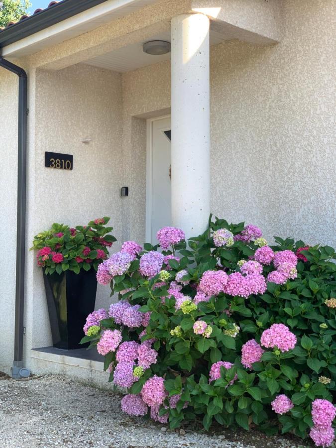 La Maison D'Isabel Montauban Buitenkant foto